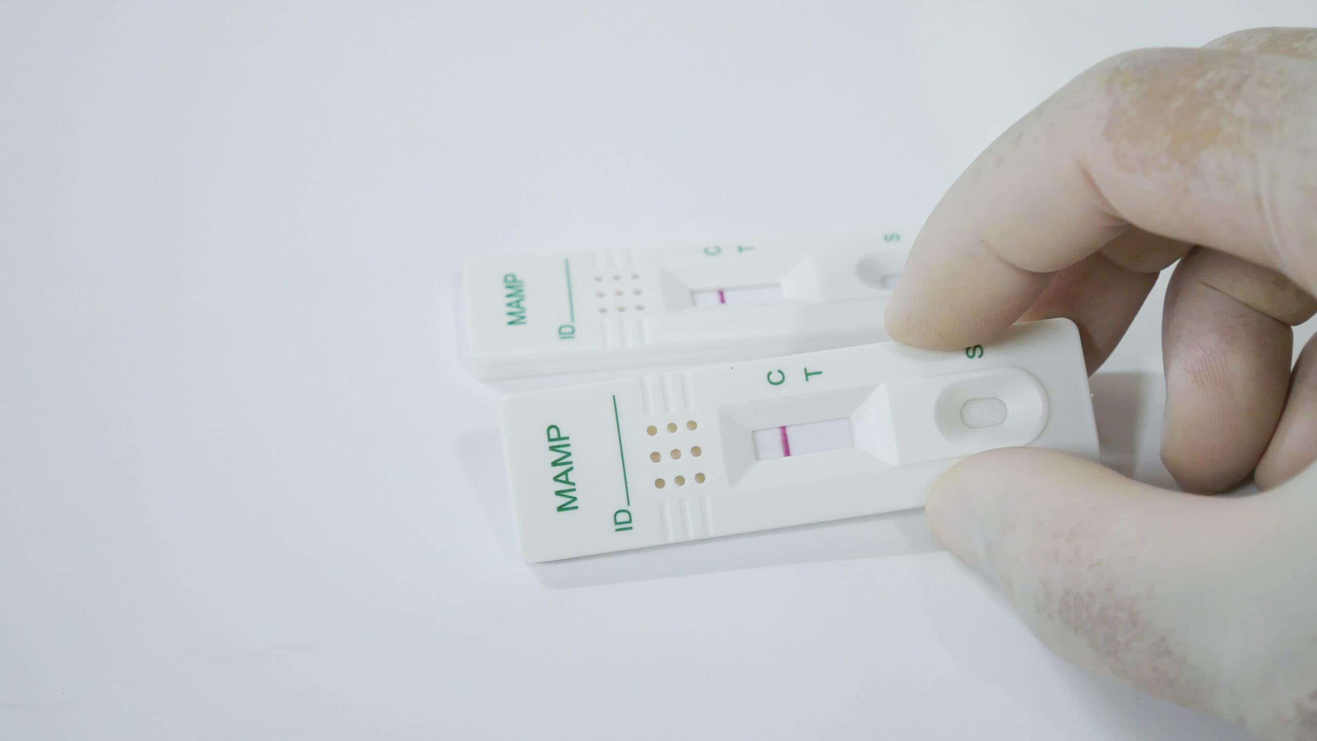 drug test panel methamphetamine urine test