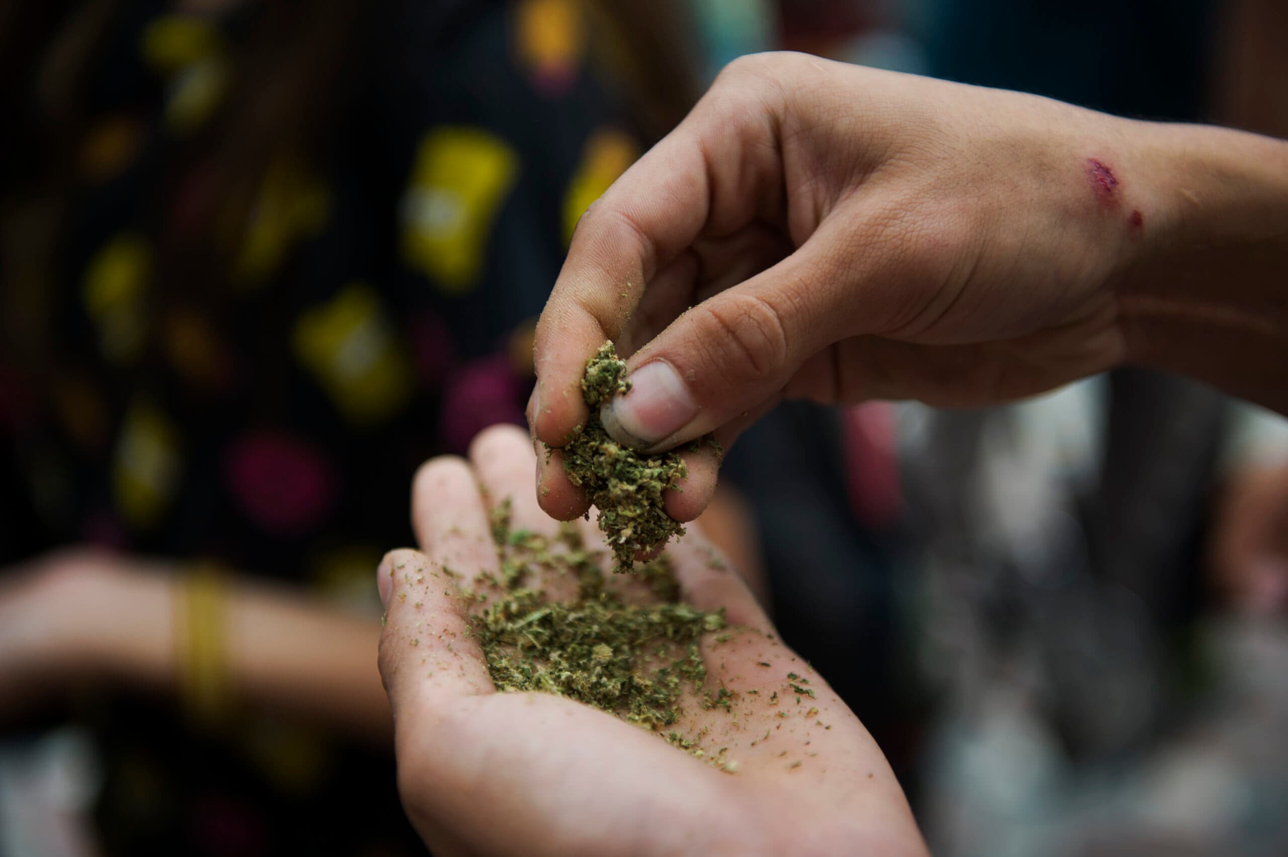 person holding spice synthetic marijuana