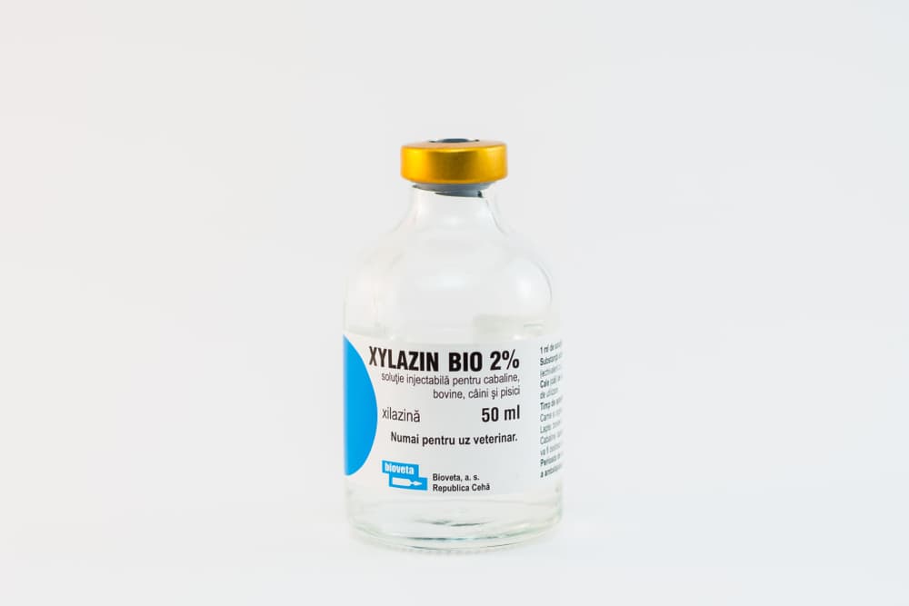 xylazine bottle