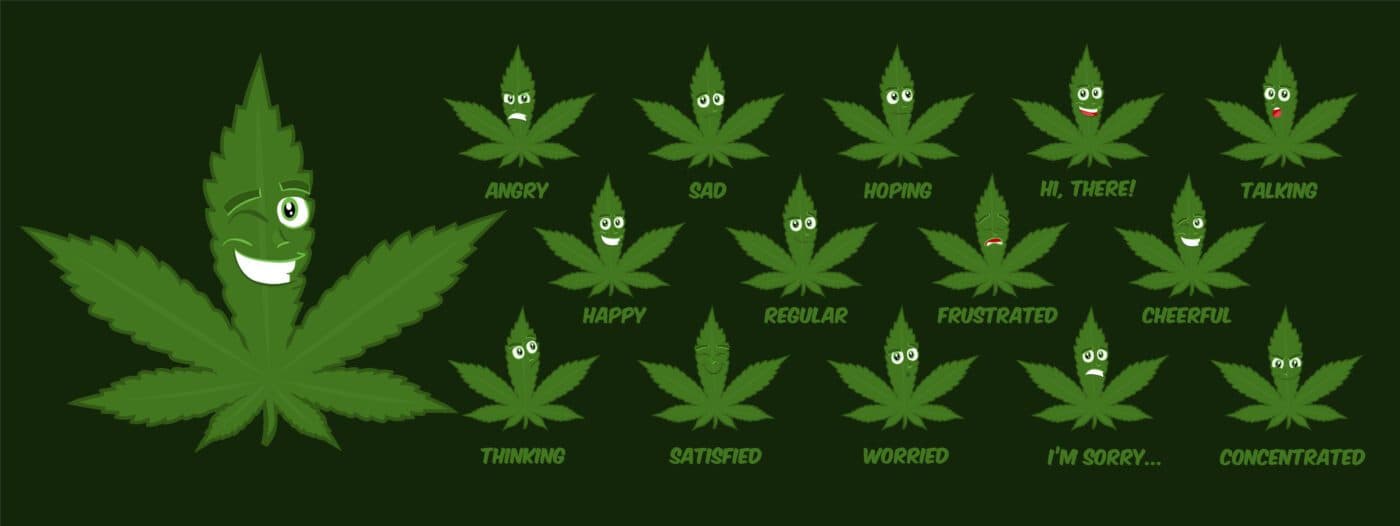 marijuana leave faces