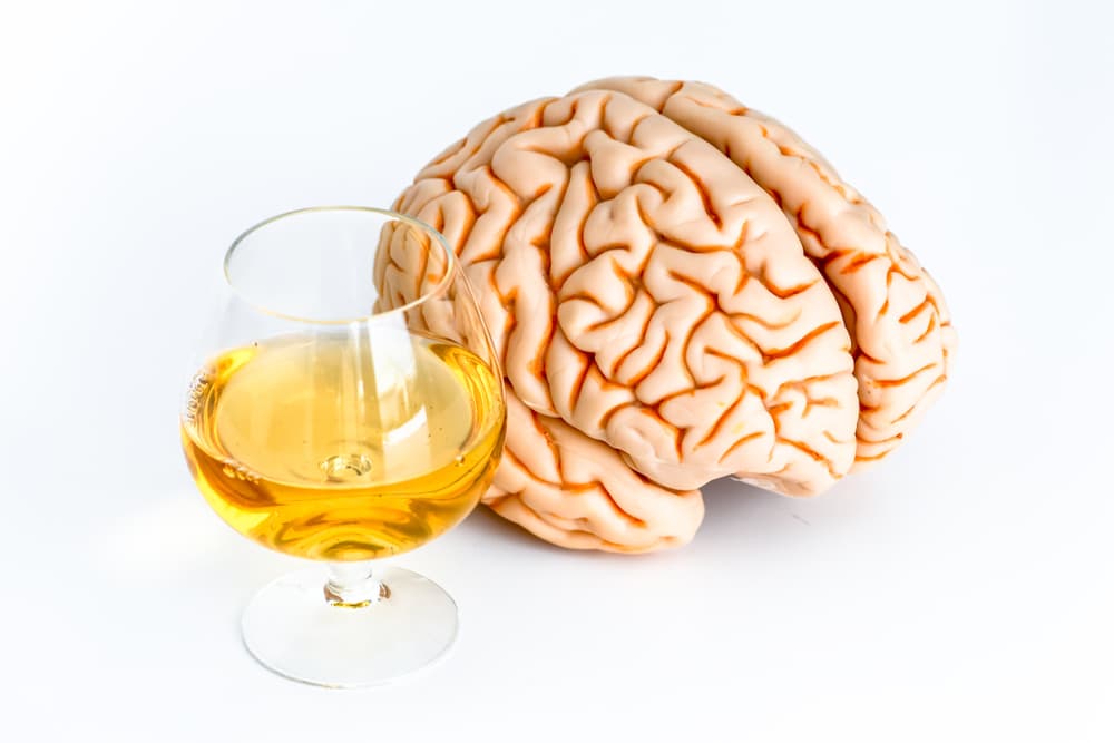 alcohol and brain