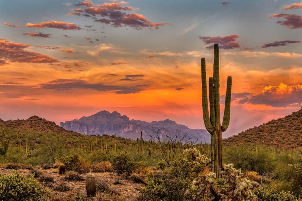 Sunset in the Sonoran Desert in Arizona