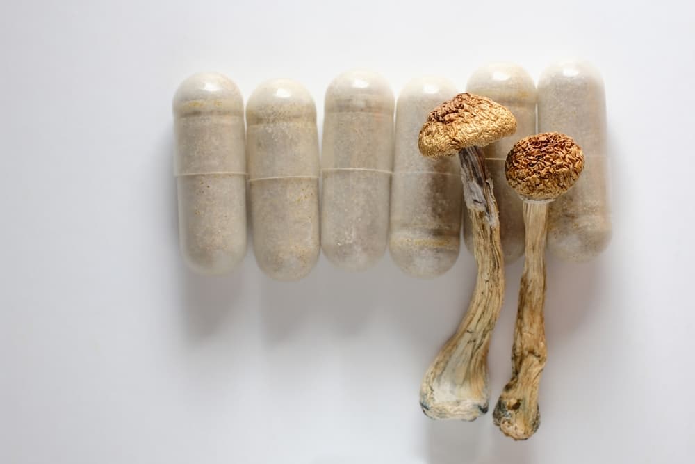 How Long Do Shrooms Stay in Your System? | Macro dose Psilocybin Capsules