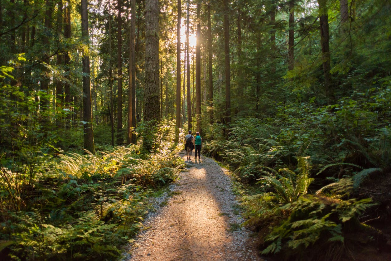 Man and Woman Hikers in forest with setting sun