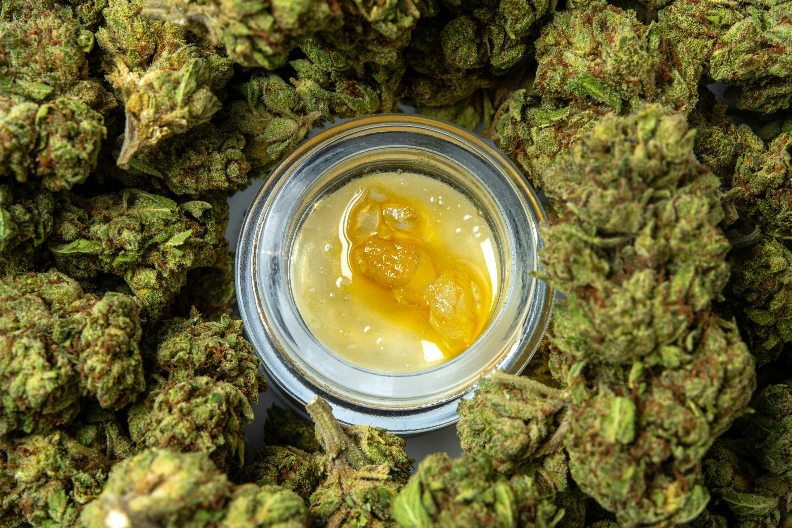 marijuana wax in jar with buds