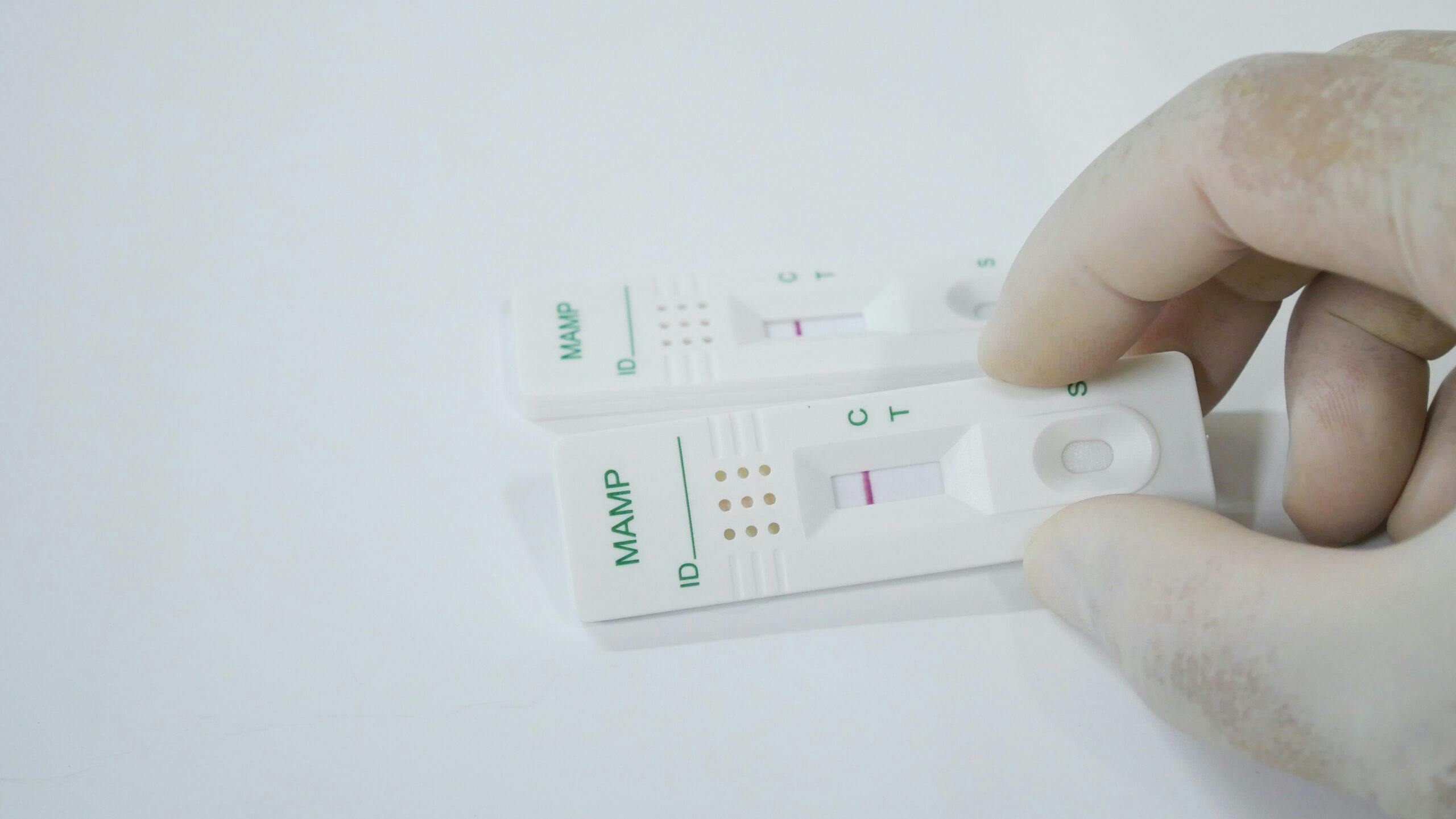drug test panel methamphetamine urine test