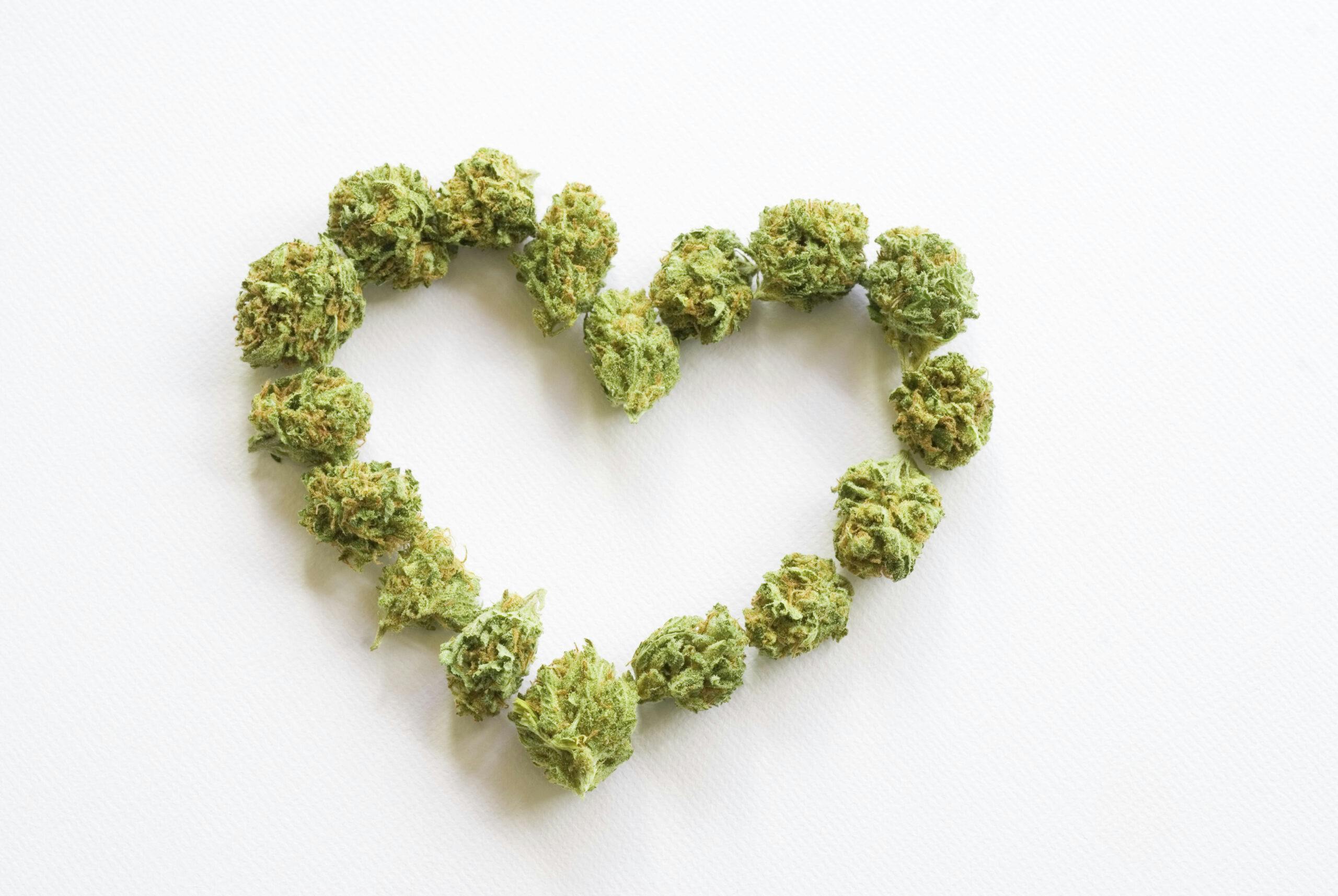 marijuana buds in a heart shape