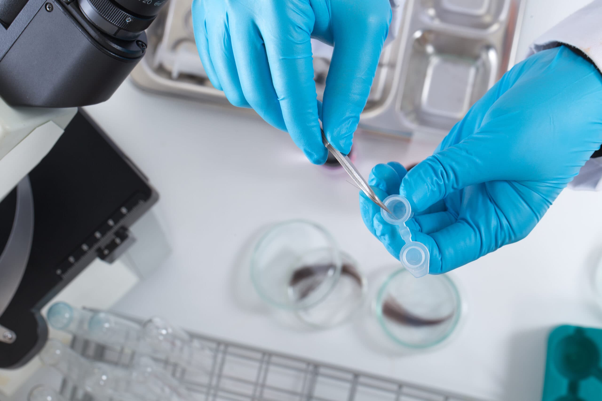 lab worker performing hair follicle drug test