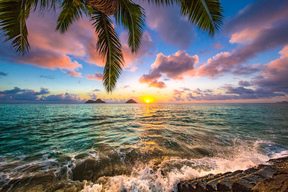 Beach view in Hawaii