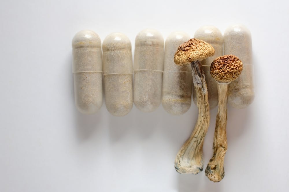 psilocybin mushrooms and capsules